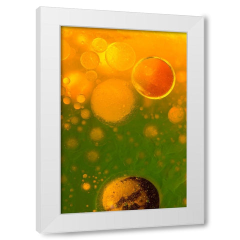 Spring Fantasy White Modern Wood Framed Art Print by Bosogea-Tudor, Ileana
