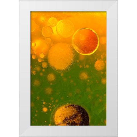 Spring Fantasy White Modern Wood Framed Art Print by Bosogea-Tudor, Ileana