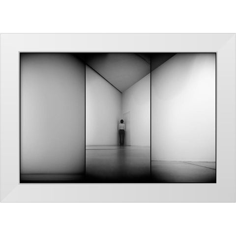 Evolution White Modern Wood Framed Art Print by Kravanja, Jure