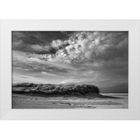 Untitled White Modern Wood Framed Art Print by van der, Liesbeth