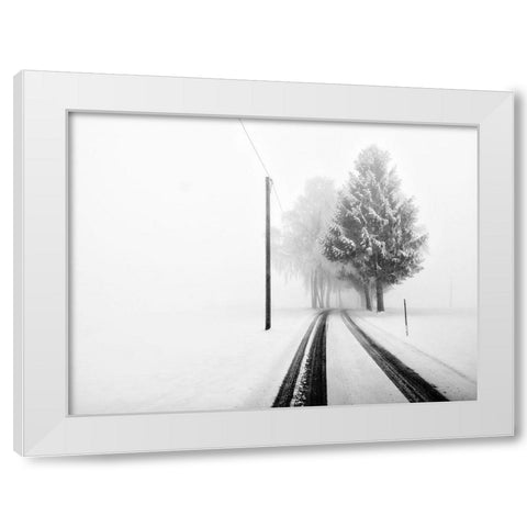 White Tree Gate White Modern Wood Framed Art Print by Bogner, Franz