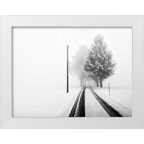 White Tree Gate White Modern Wood Framed Art Print by Bogner, Franz
