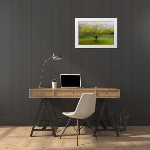 The Cat By The Tree White Modern Wood Framed Art Print by Ostlund, Arne