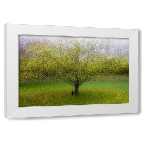 The Cat By The Tree White Modern Wood Framed Art Print by Ostlund, Arne