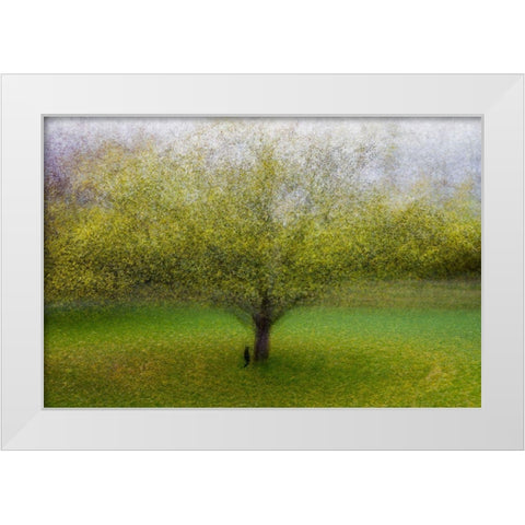 The Cat By The Tree White Modern Wood Framed Art Print by Ostlund, Arne