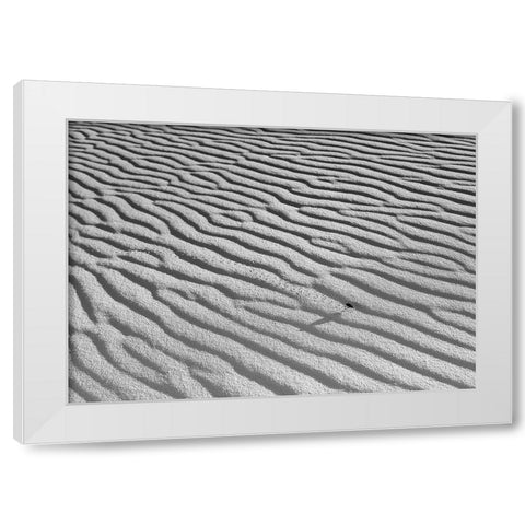 The Long Journey White Modern Wood Framed Art Print by Skilbeck, Christian