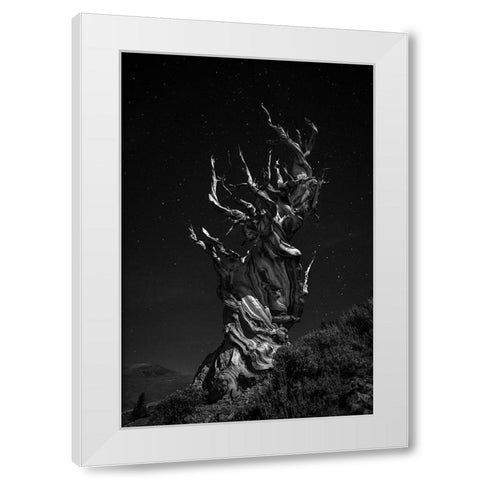 Grand-Grand-Grand-Pas Tree White Modern Wood Framed Art Print by Chenglu, Simon