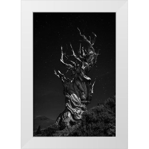 Grand-Grand-Grand-Pas Tree White Modern Wood Framed Art Print by Chenglu, Simon