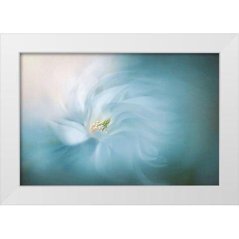 Floral Ballet White Modern Wood Framed Art Print by Parker, Jacky