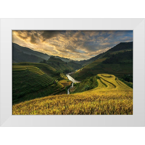 Riceterrace ( Vietnam) White Modern Wood Framed Art Print by Intarob, Sarawut
