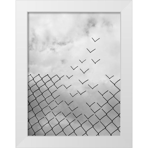 Freedom White Modern Wood Framed Art Print by Alonso, Daniel