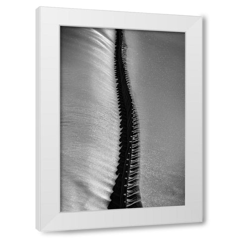 Scorpio Rising White Modern Wood Framed Art Print by Abrantes, Paulo