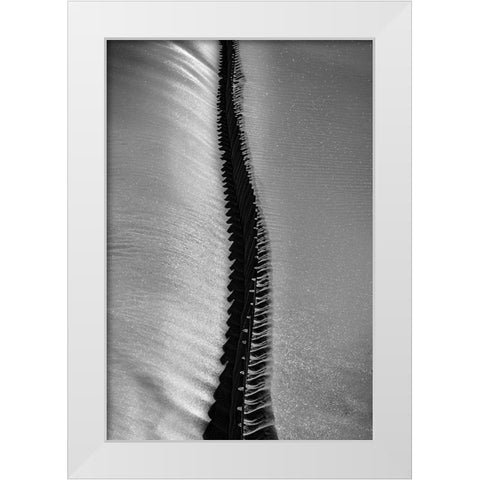 Scorpio Rising White Modern Wood Framed Art Print by Abrantes, Paulo