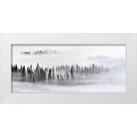 Foggy Forest White Modern Wood Framed Art Print by Xu, Mei