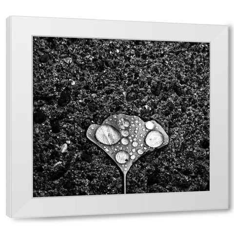 Dew White Modern Wood Framed Art Print by Wang, Jian