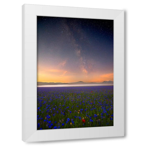 Night Flowers White Modern Wood Framed Art Print by Marchegiani, Roberto
