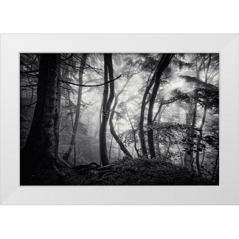 Mysterious Light White Modern Wood Framed Art Print by Maier, Norbert
