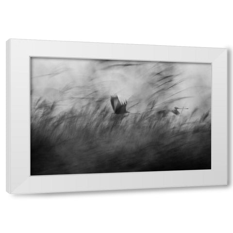 Out Of The Blue White Modern Wood Framed Art Print by Segev, Elior