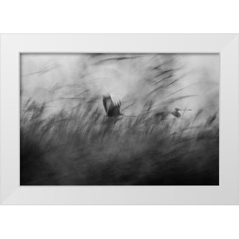 Out Of The Blue White Modern Wood Framed Art Print by Segev, Elior
