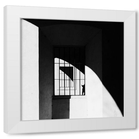 The Black Cat White Modern Wood Framed Art Print by Della Latta, Massimo