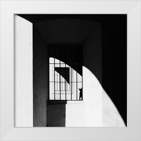 The Black Cat White Modern Wood Framed Art Print by Della Latta, Massimo