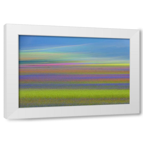 Untitled White Modern Wood Framed Art Print by Marchegiani, Roberto