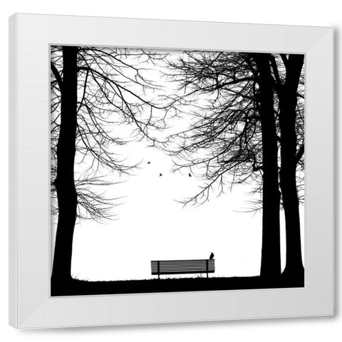 Il Corvo White Modern Wood Framed Art Print by Della Latta, Massimo