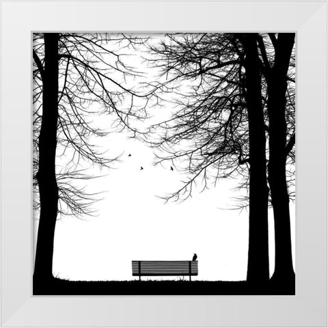 Il Corvo White Modern Wood Framed Art Print by Della Latta, Massimo