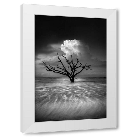 Oceanus White Modern Wood Framed Art Print by Moore, Chris