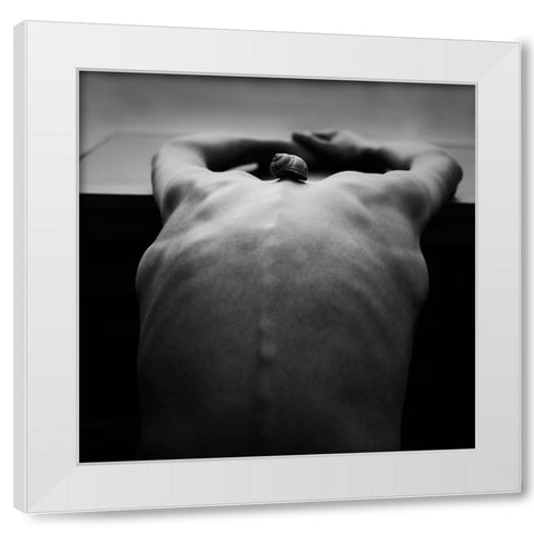 Cochlea White Modern Wood Framed Art Print by Delrue, Mirjam