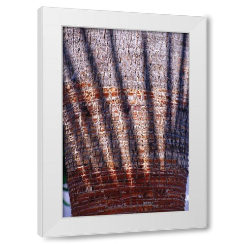 Date Palm Crown White Modern Wood Framed Art Print by Blue, Cyril