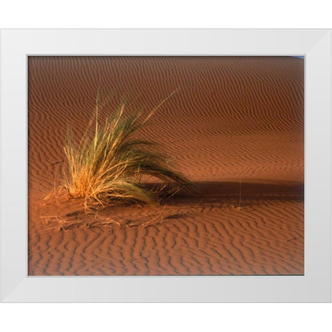 Grass, Sand Dune Sahara White Modern Wood Framed Art Print by Blue, Cyril