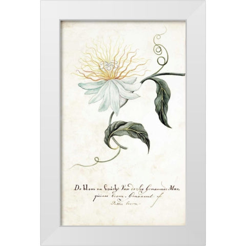 Passion Tree White Modern Wood Framed Art Print by Markee, Cornelis