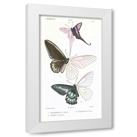 Butterflies, Plate 17 White Modern Wood Framed Art Print by Blanchard, Emile