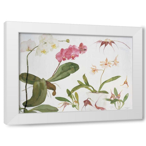 Orchid Studies White Modern Wood Framed Art Print by Blackadder, Elizabeth