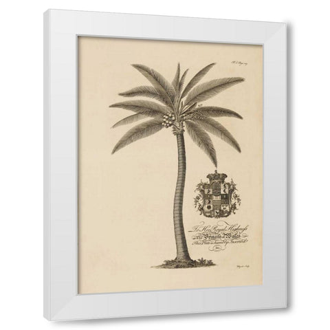 Coconut Palm White Modern Wood Framed Art Print by Ehret, Georg