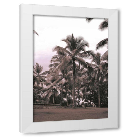 Coconut Palm, Serai White Modern Wood Framed Art Print by Blue, Cyril