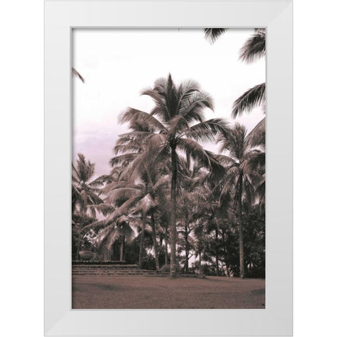 Coconut Palm, Serai White Modern Wood Framed Art Print by Blue, Cyril