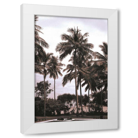 Coconut Grove, Candidasa White Modern Wood Framed Art Print by Blue, Cyril