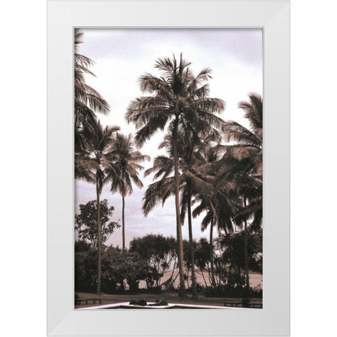Coconut Grove, Candidasa White Modern Wood Framed Art Print by Blue, Cyril