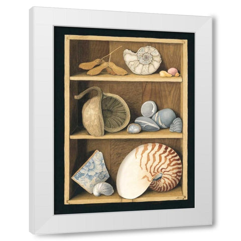 Shells on Shelves White Modern Wood Framed Art Print by Baron, Jenny