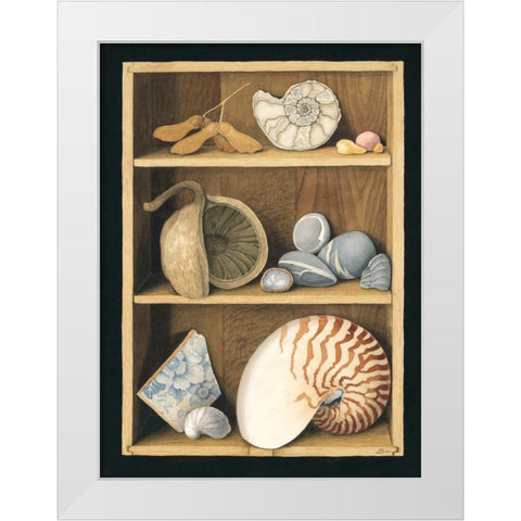Shells on Shelves White Modern Wood Framed Art Print by Baron, Jenny