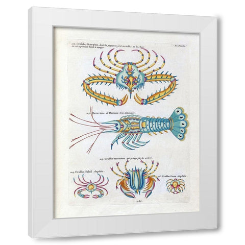 Crabbe- Scorpion White Modern Wood Framed Art Print by Renard, Louis