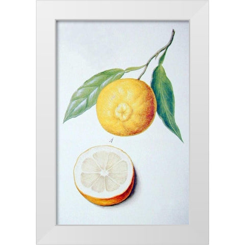 Orange White Modern Wood Framed Art Print by Ledoulx, Pierre