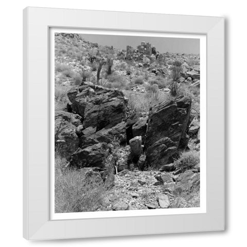 Twentynine Palms, San Bernadino, c1910 White Modern Wood Framed Art Print by Anonymous