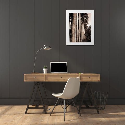 King Palms, Mauritius White Modern Wood Framed Art Print by Blue, Cyril