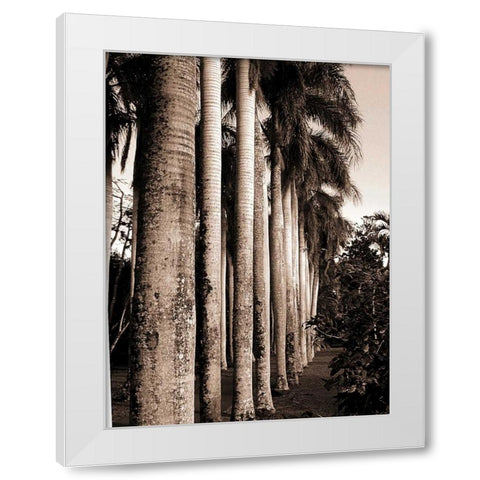 King Palms, Mauritius White Modern Wood Framed Art Print by Blue, Cyril