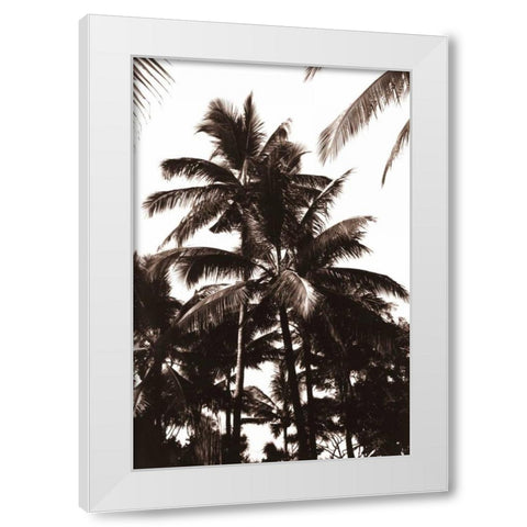 Coconut Palm, Bali White Modern Wood Framed Art Print by Blue, Cyril