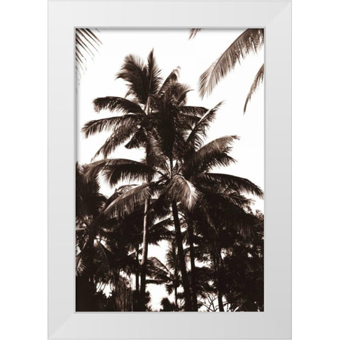 Coconut Palm, Bali White Modern Wood Framed Art Print by Blue, Cyril