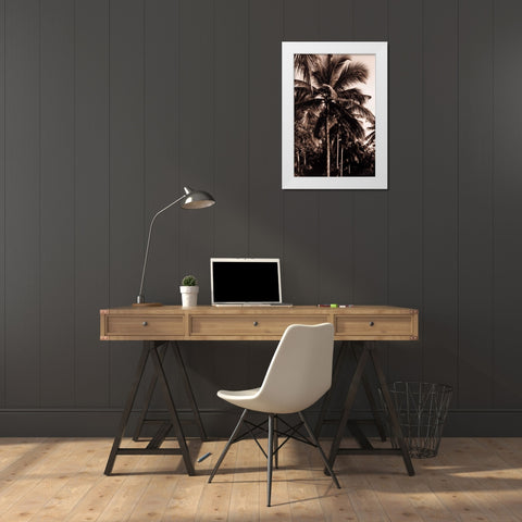 Coconut Palm, Bali White Modern Wood Framed Art Print by Blue, Cyril